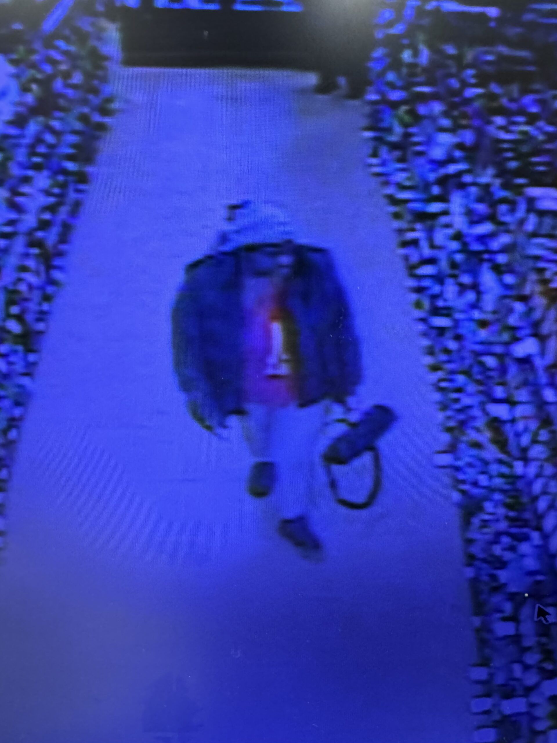 Crime Stoppers Fayette County Pa - pwylg8q