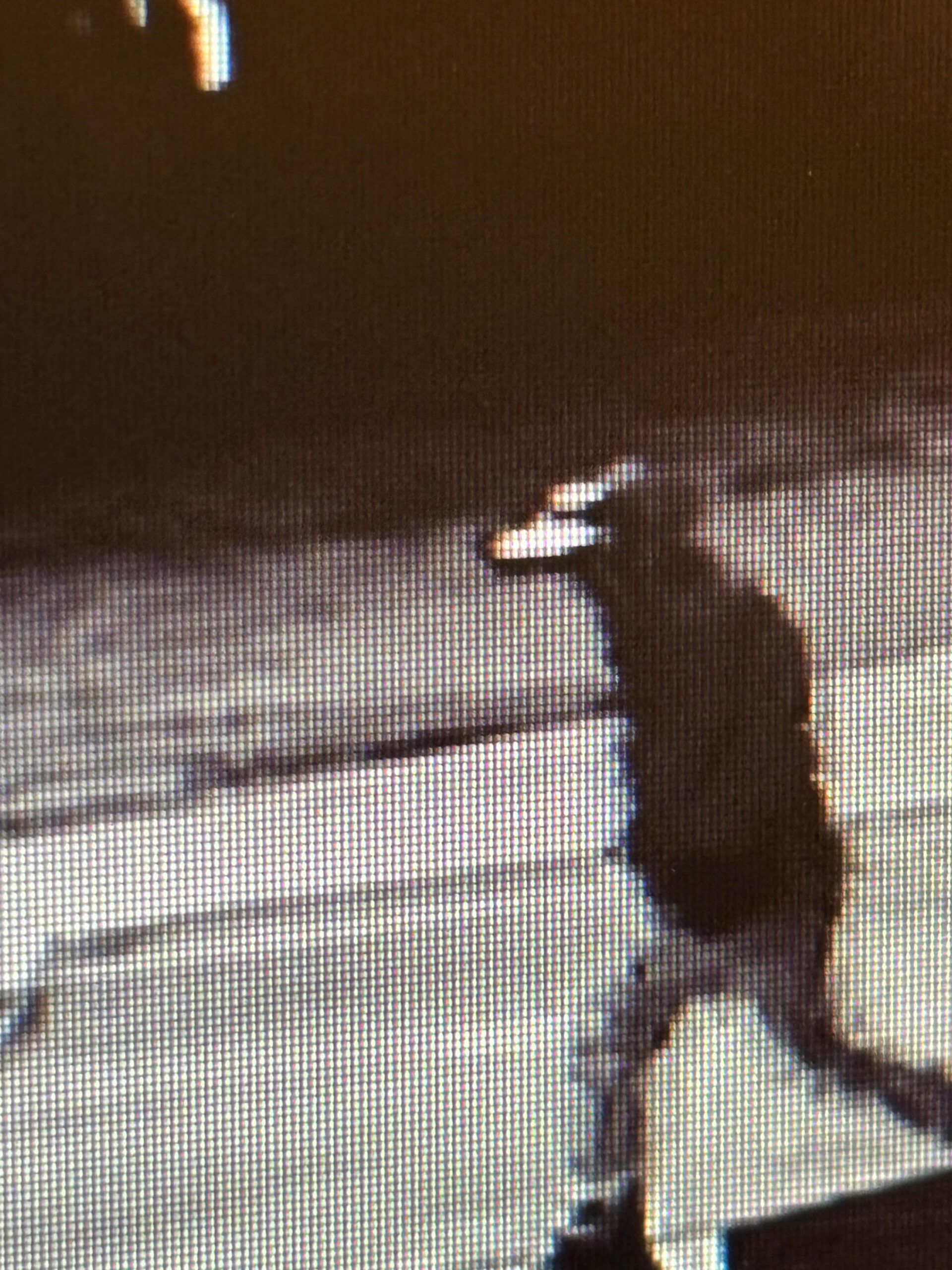 Crime Stoppers Fayette County Pa - ednvitf